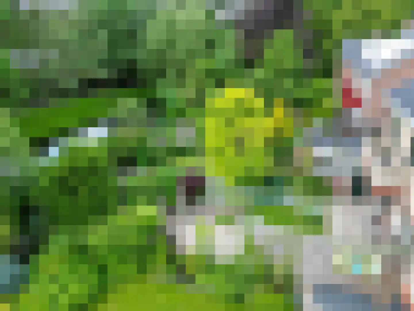 Acacialaan 50 Groningen thumbnail 55