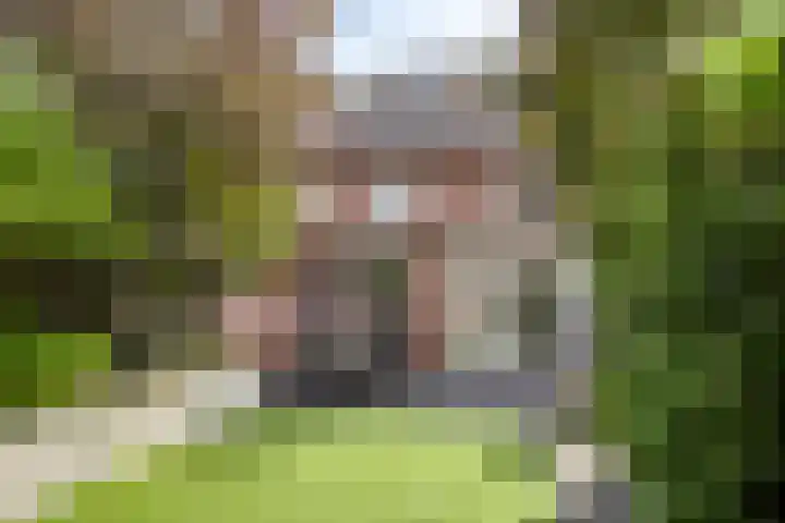 Acacialaan 54 Veghel thumbnail 34