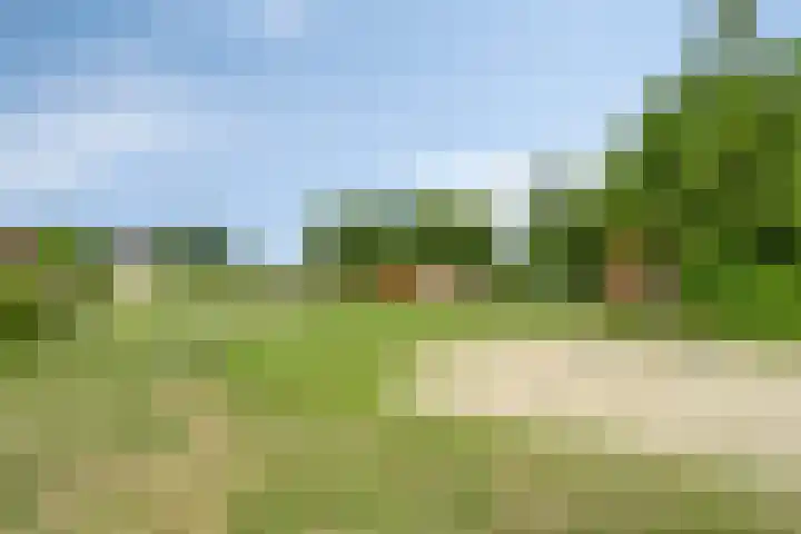 Acacialaan 54 Veghel thumbnail 35