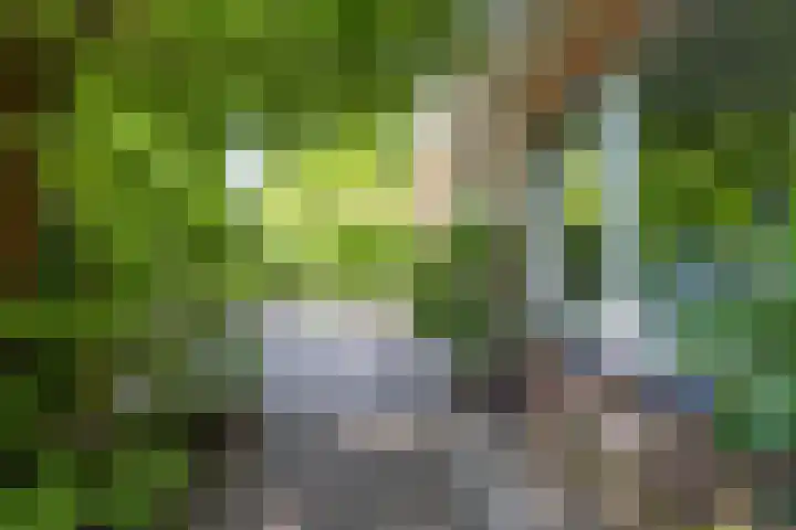 Acacialaan 55 Doetinchem thumbnail 22