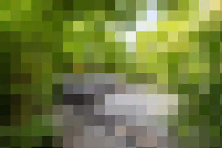 Acacialaan 55 Doetinchem thumbnail 23