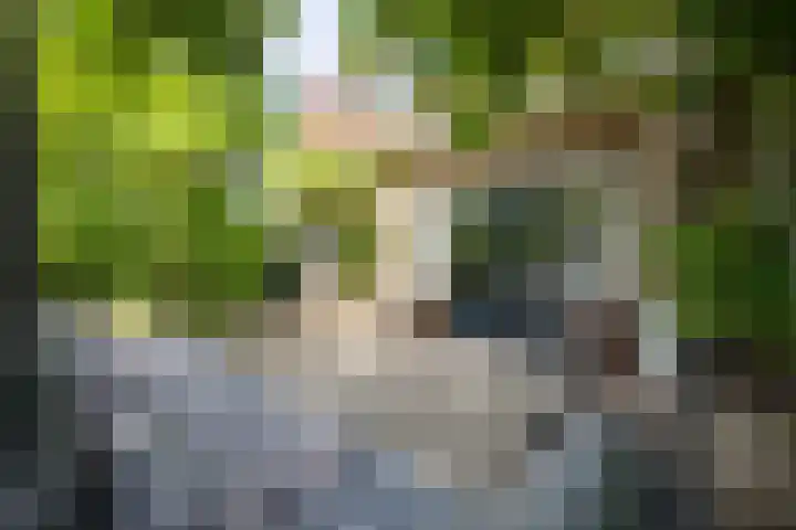 Acacialaan 55 Doetinchem thumbnail 24