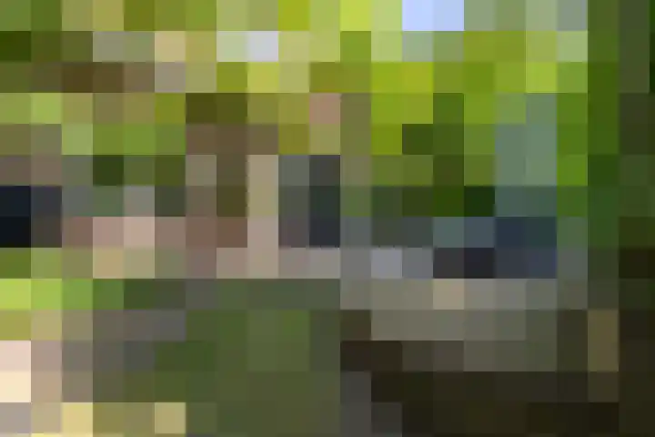 Acacialaan 55 Doetinchem thumbnail 25