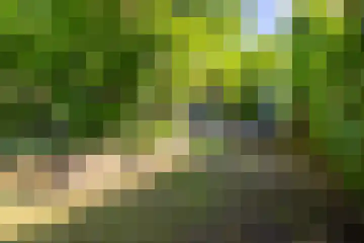 Acacialaan 55 Doetinchem thumbnail 26