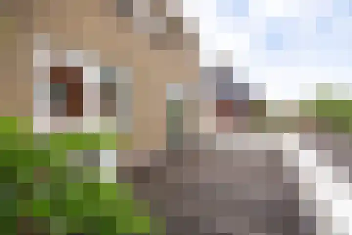 Acacialaan 55 Doetinchem thumbnail 45