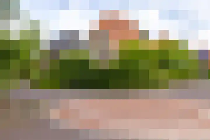 Acacialaan 55 Doetinchem thumbnail 53