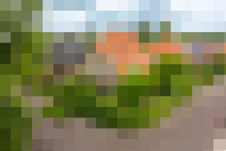 Acacialaan 55 Doetinchem thumbnail 55