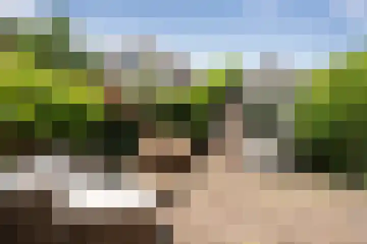 Acacialaan 59 Beverwijk thumbnail 13