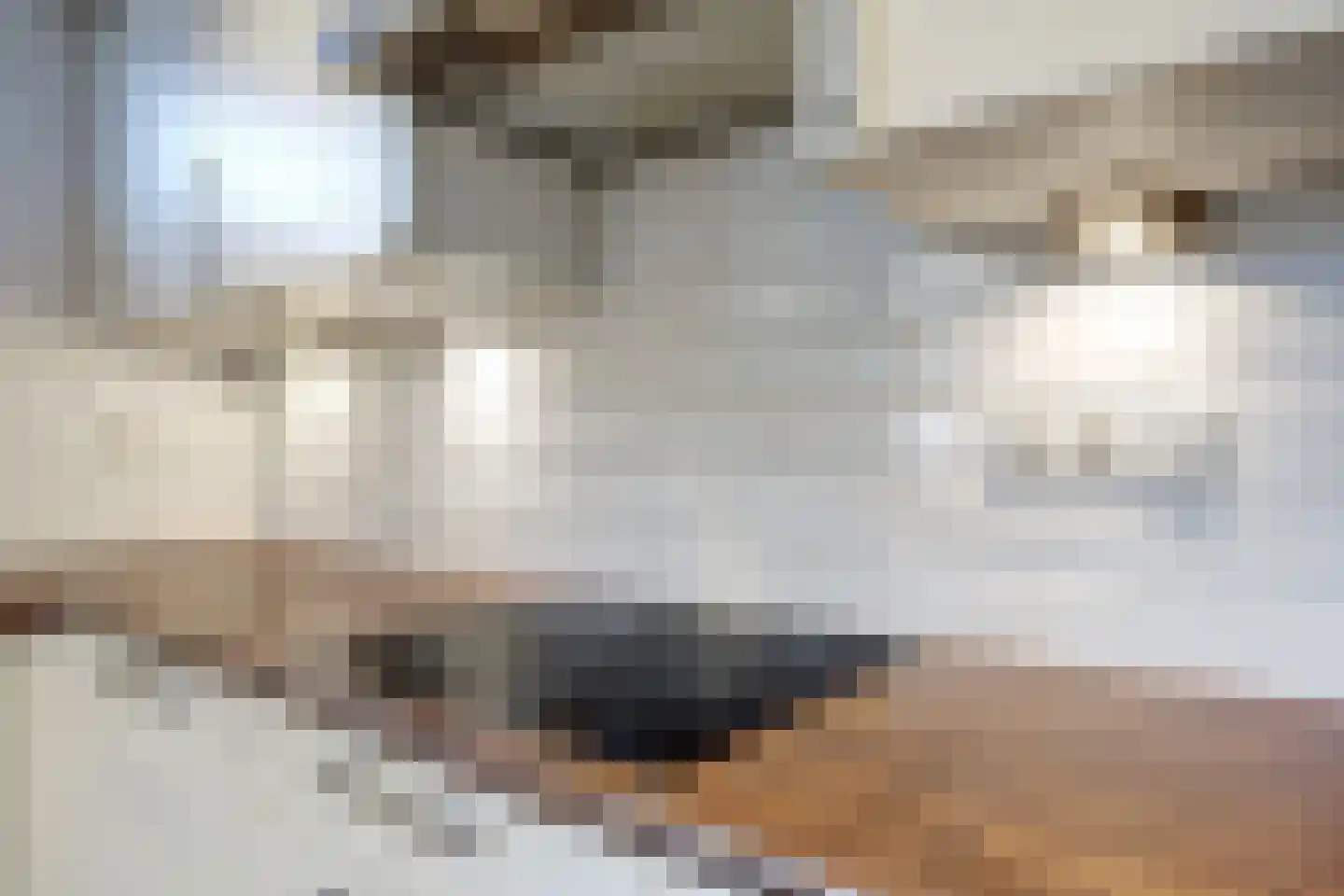 Acacialaan 6 Emmer-Compascuum thumbnail 12