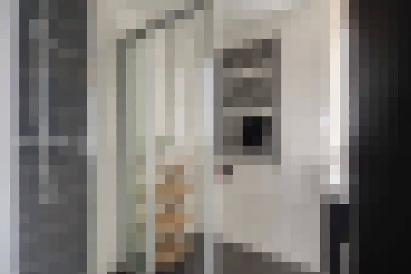 Acacialaan 6 Emmer-Compascuum thumbnail 27