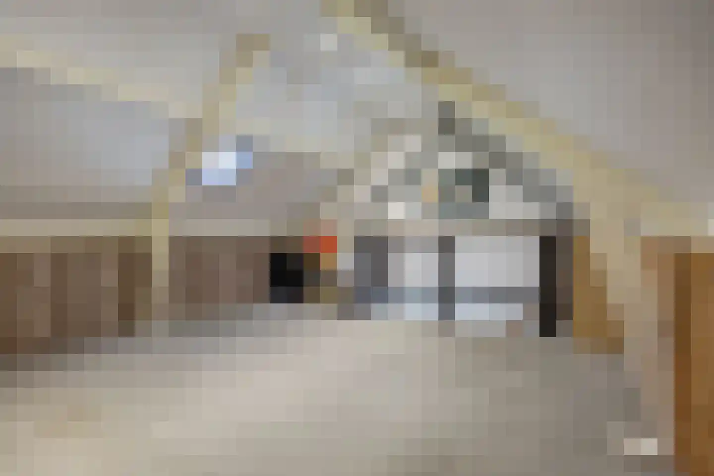 Acacialaan 6 Emmer-Compascuum thumbnail 30