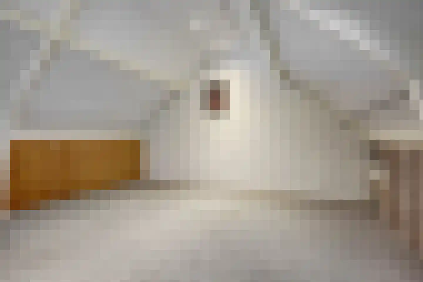 Acacialaan 6 Emmer-Compascuum thumbnail 31