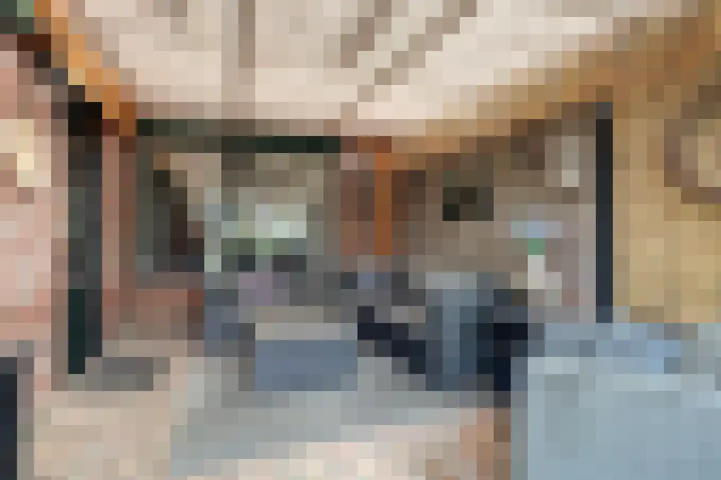 Acacialaan 6 Emmer-Compascuum thumbnail 35