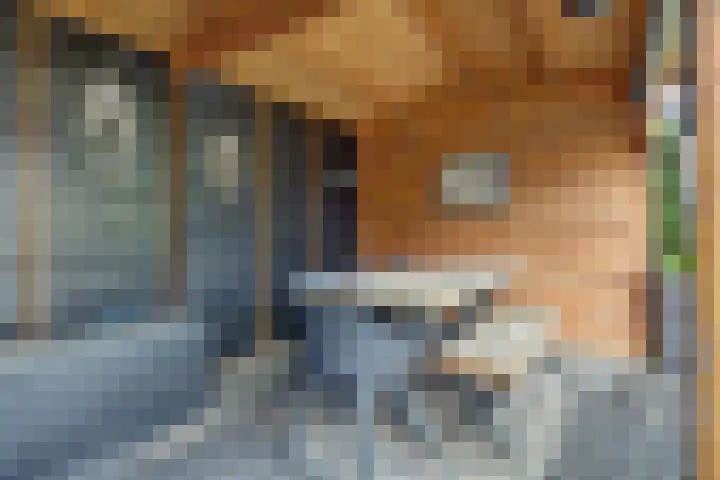 Acacialaan 6 Emmer-Compascuum thumbnail 38