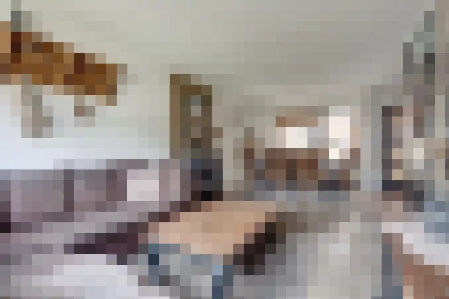 Acacialaan 6 Emmer-Compascuum thumbnail 5