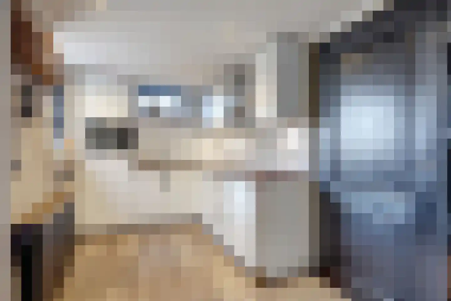 Acacialaan 6 Emmer-Compascuum thumbnail 9