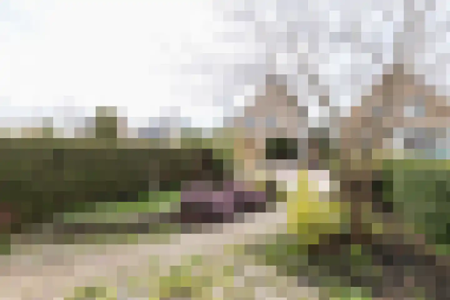 Acacialaan 6 Grootebroek thumbnail 31
