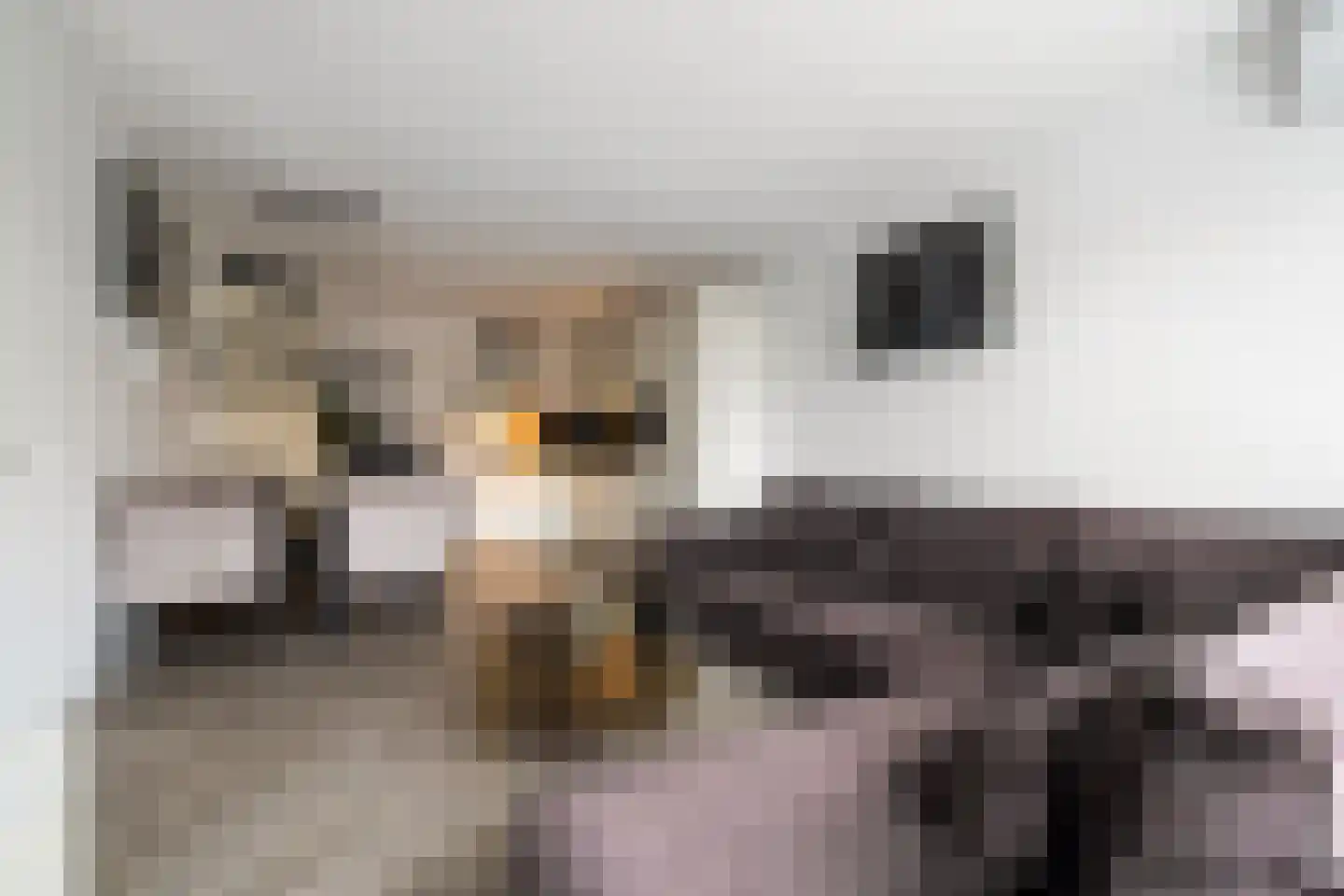 Acacialaan 6 Heerhugowaard thumbnail 5