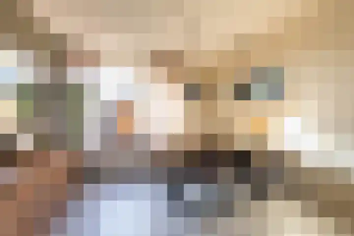 Acacialaan 6 Marum thumbnail 11