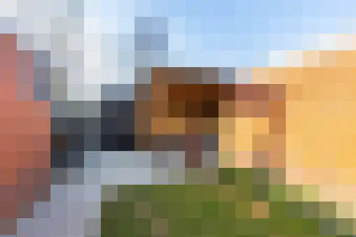 Acacialaan 6 Marum thumbnail 17