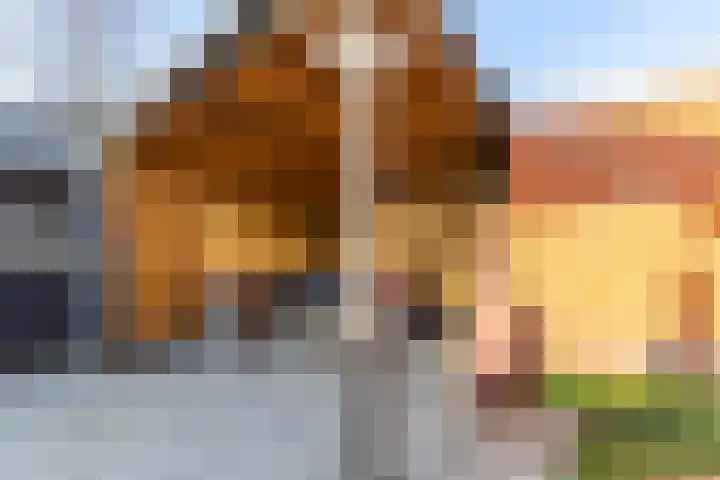 Acacialaan 6 Marum thumbnail 18
