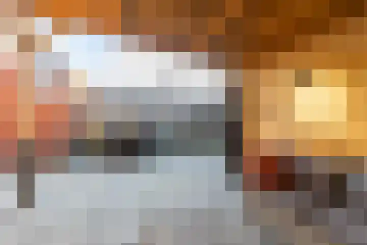 Acacialaan 6 Marum thumbnail 20