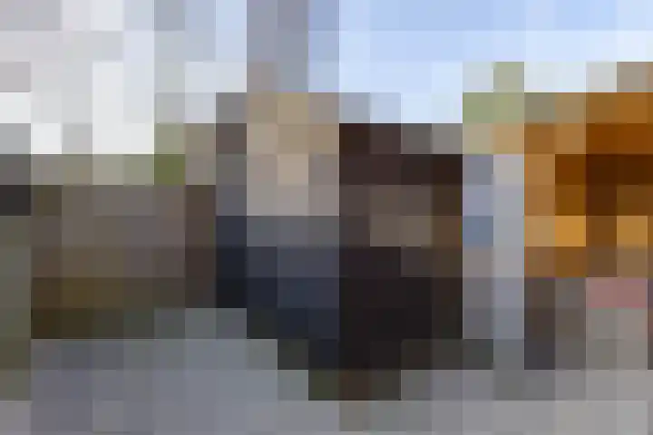 Acacialaan 6 Marum thumbnail 22