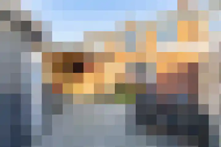 Acacialaan 6 Marum thumbnail 23