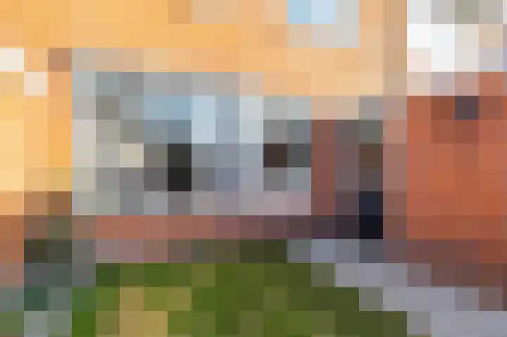 Acacialaan 6 Marum thumbnail 24