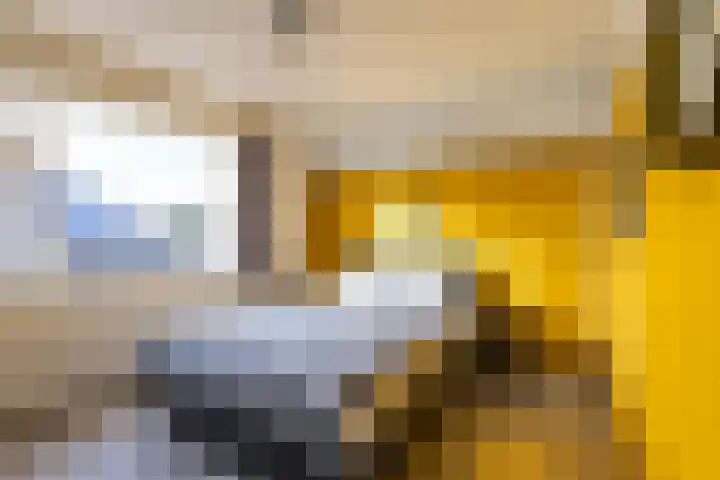 Acacialaan 6 Marum thumbnail 29