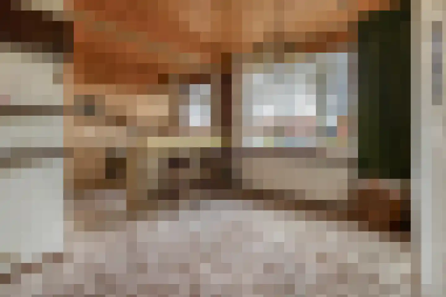 Acacialaan 6 Rozenburg thumbnail 9
