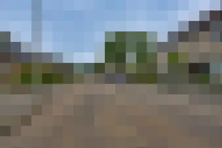 Acacialaan 68 Balkbrug thumbnail 32