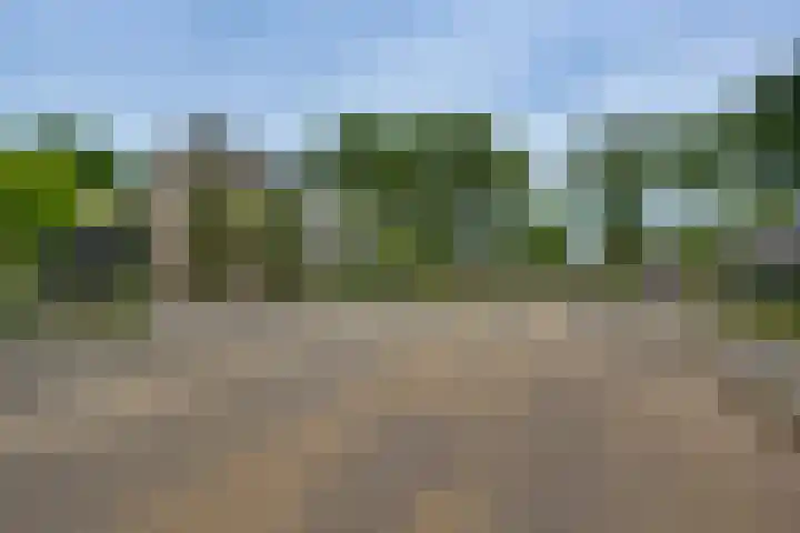 Acacialaan 68 Balkbrug thumbnail 33
