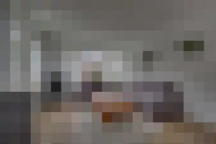 Acacialaan 68 Balkbrug thumbnail 6