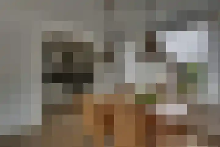 Acacialaan 68 Balkbrug thumbnail 9