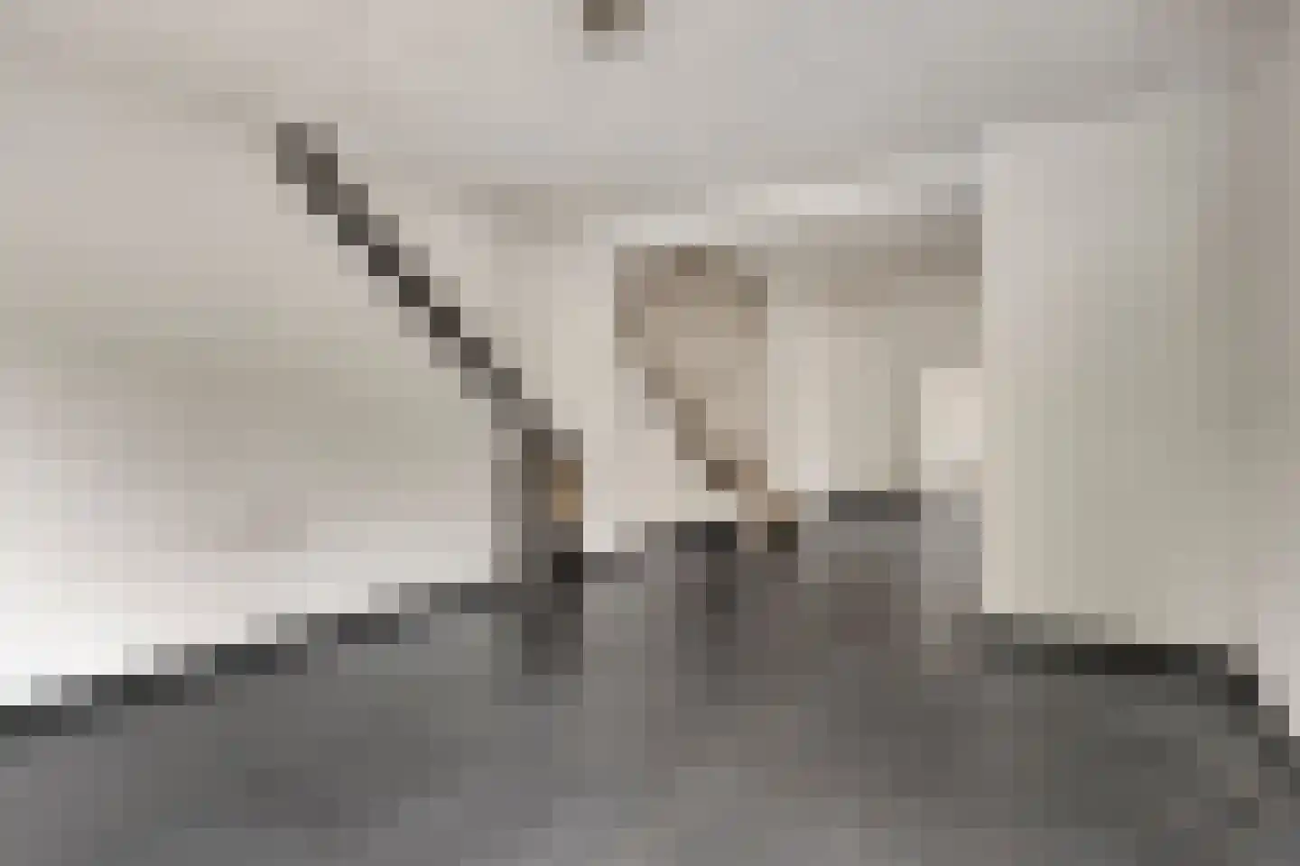 Acacialaan 7 Drunen thumbnail 11