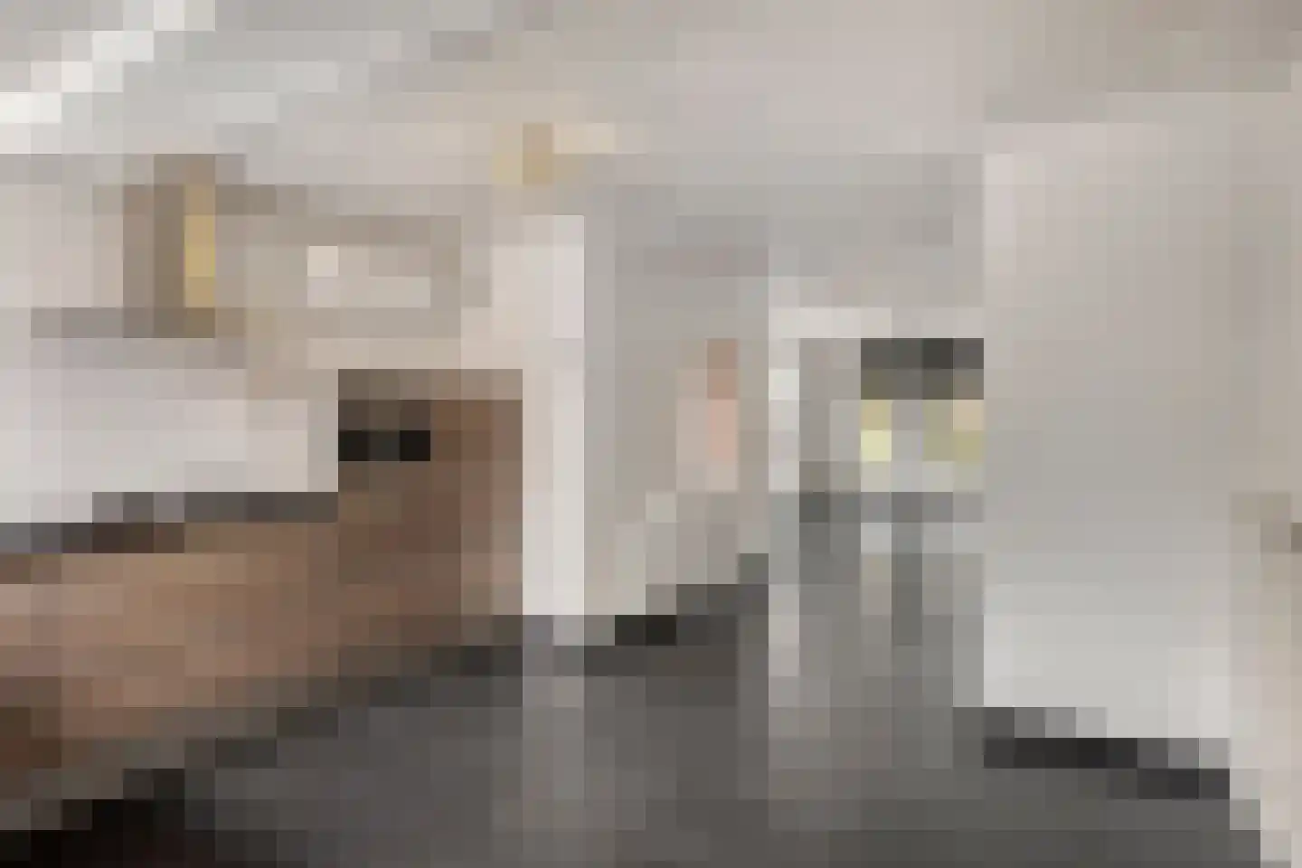 Acacialaan 7 Drunen thumbnail 16