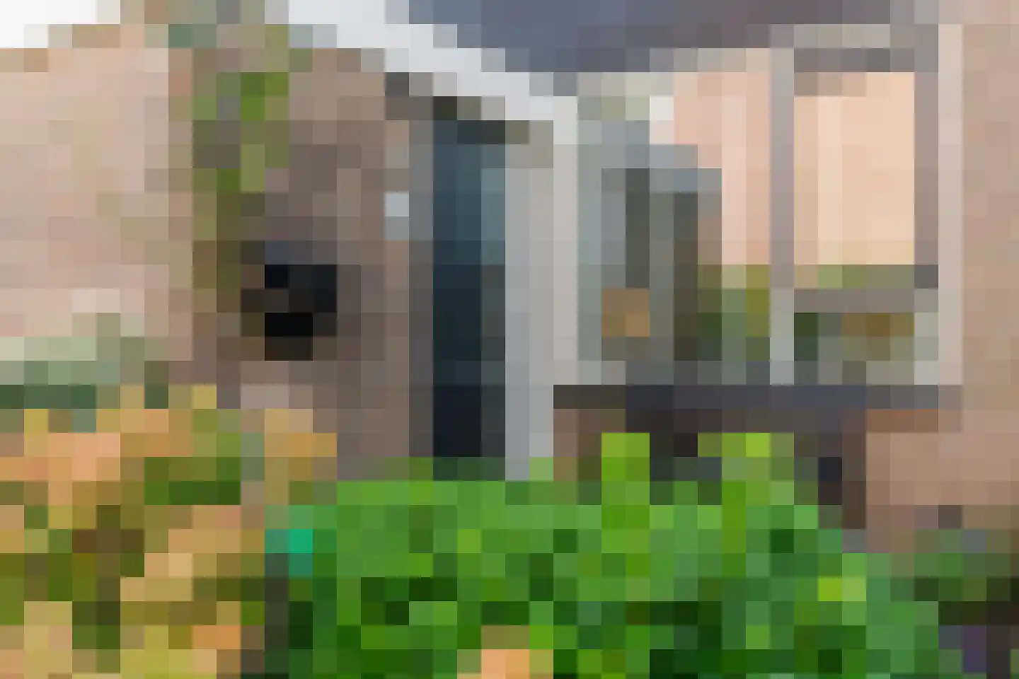 Acacialaan 72 Heerde thumbnail 4