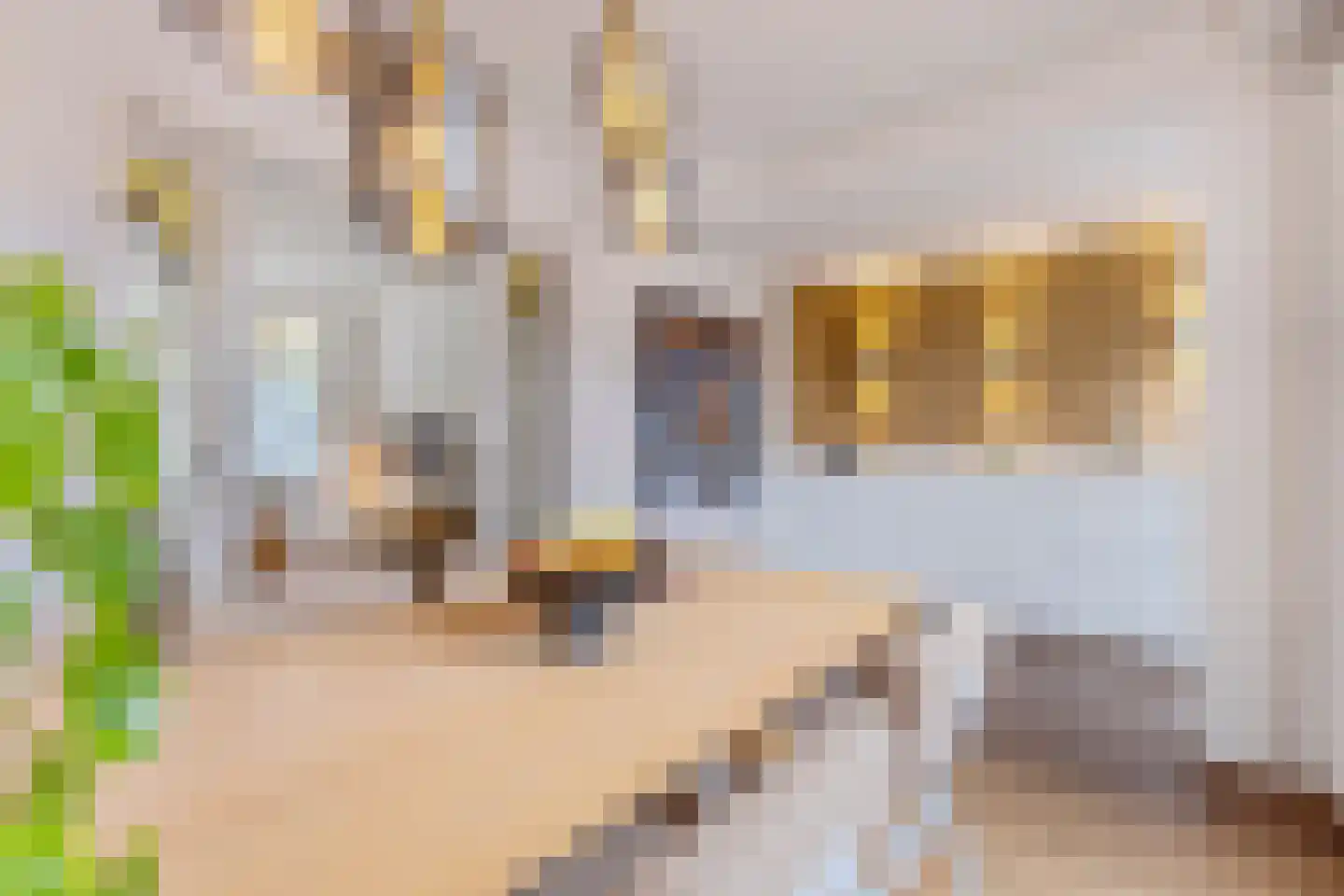 Acacialaan 74 Beverwijk thumbnail 11