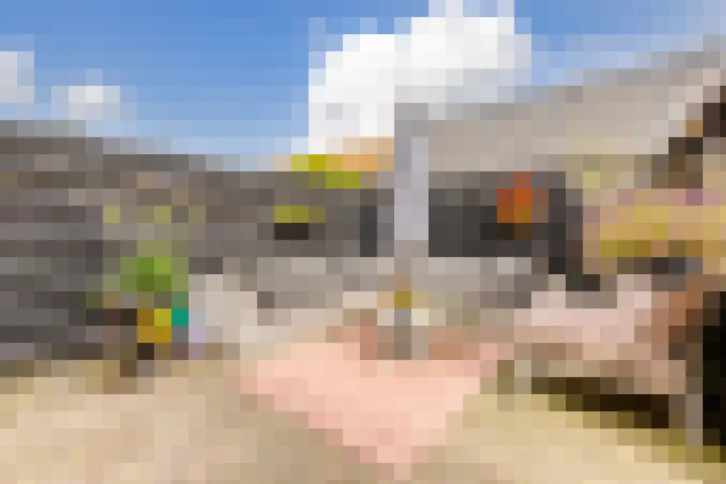 Acacialaan 74 Beverwijk thumbnail 22