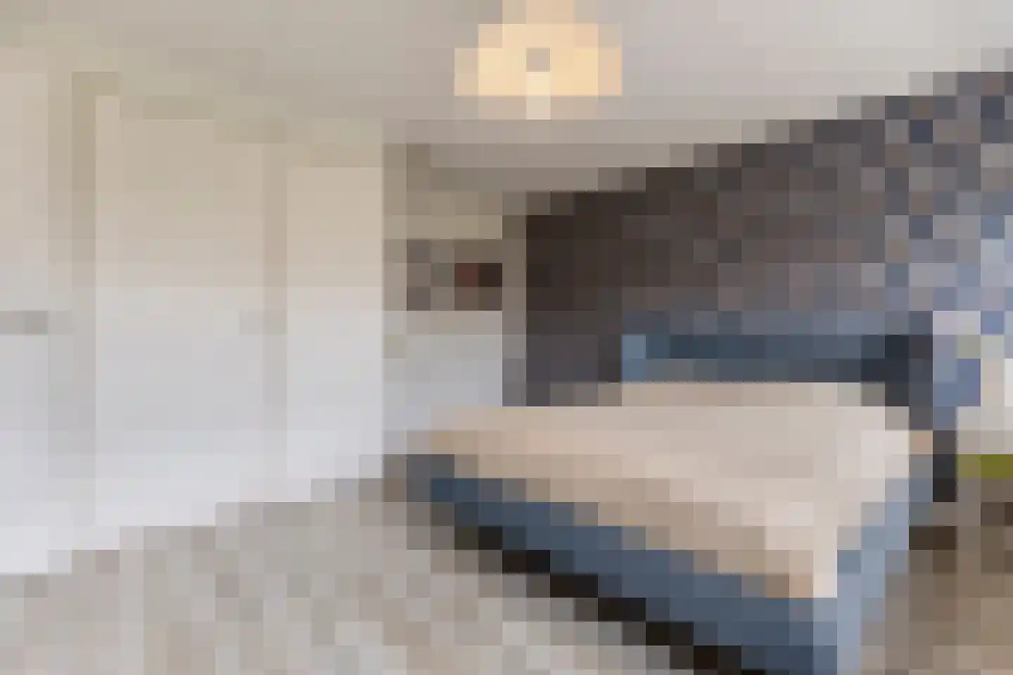 Acacialaan 74 Beverwijk thumbnail 37