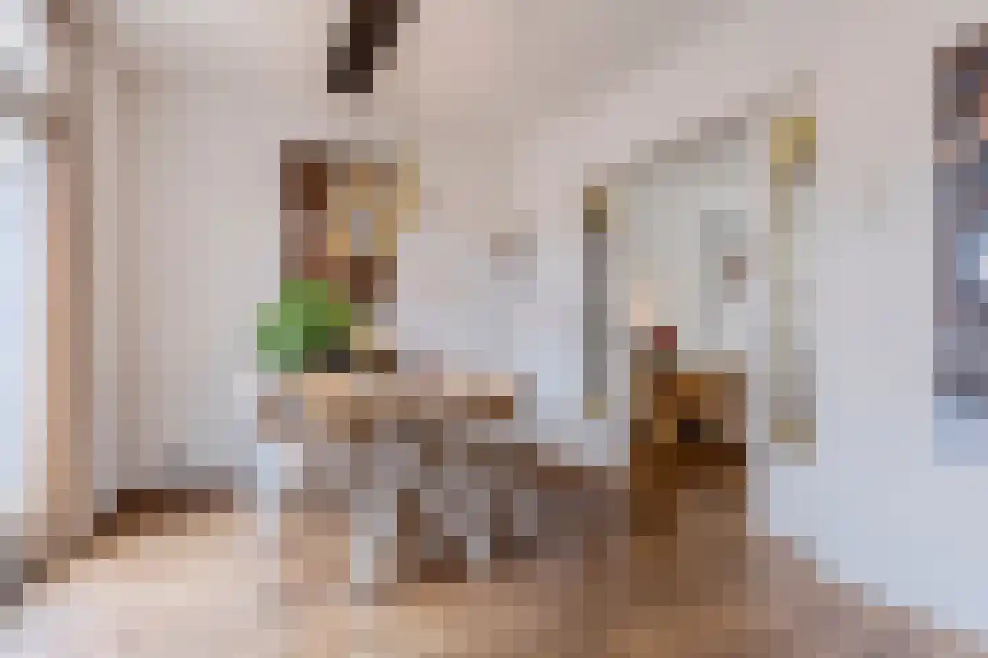 Acacialaan 74 Beverwijk thumbnail 8