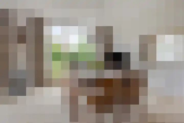 Acacialaan 8 Harmelen thumbnail 10