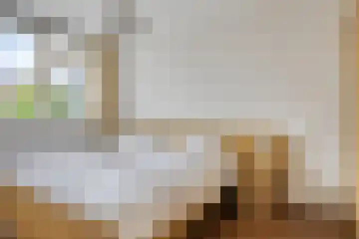 Acacialaan 8 Harmelen thumbnail 15