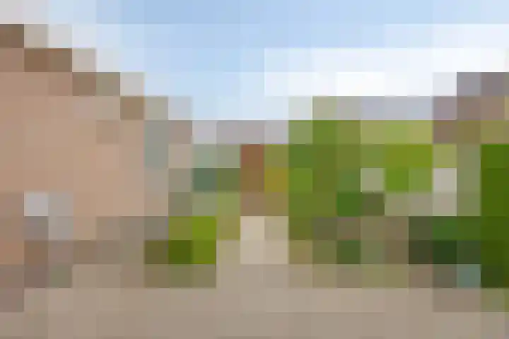 Acacialaan 8 Harmelen thumbnail 29