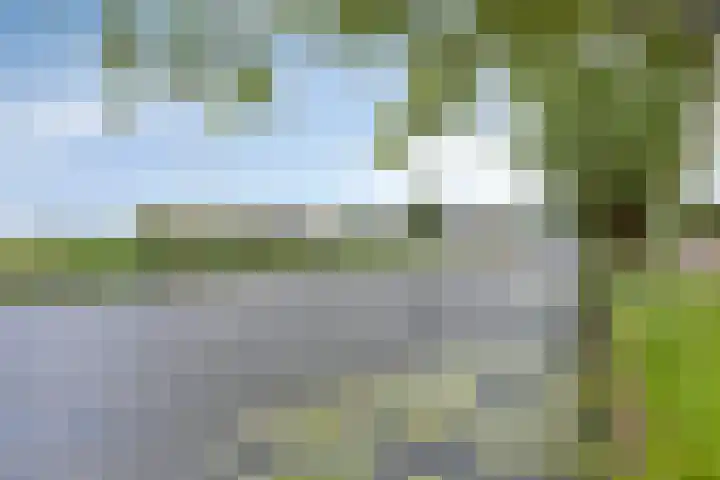 Acacialaan 8 Harmelen thumbnail 36