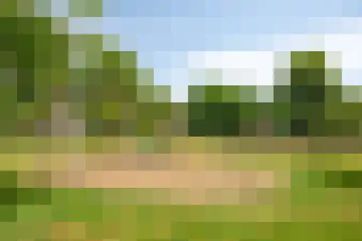Acacialaan 8 Harmelen thumbnail 38