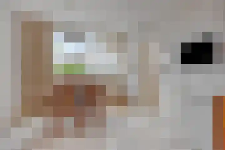 Acacialaan 8 Harmelen thumbnail 7