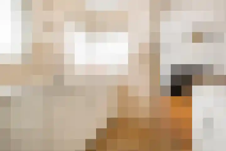 Acacialaan 8 Renswoude thumbnail 14