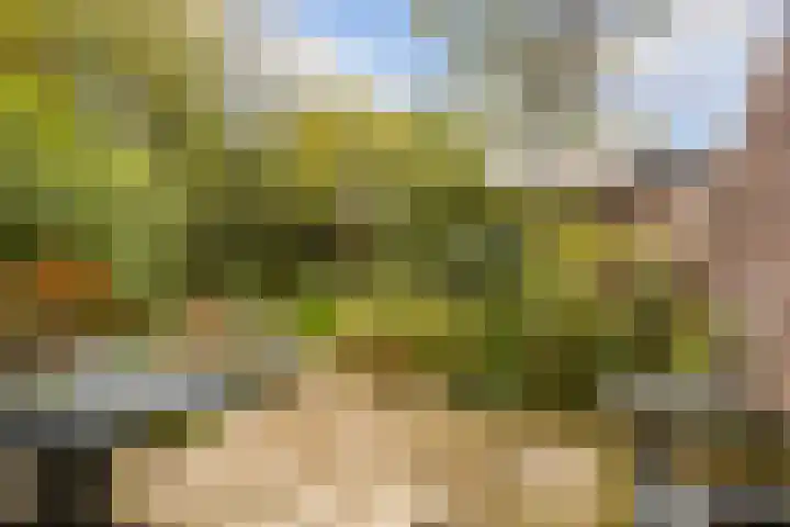 Acacialaan 8 Renswoude thumbnail 29